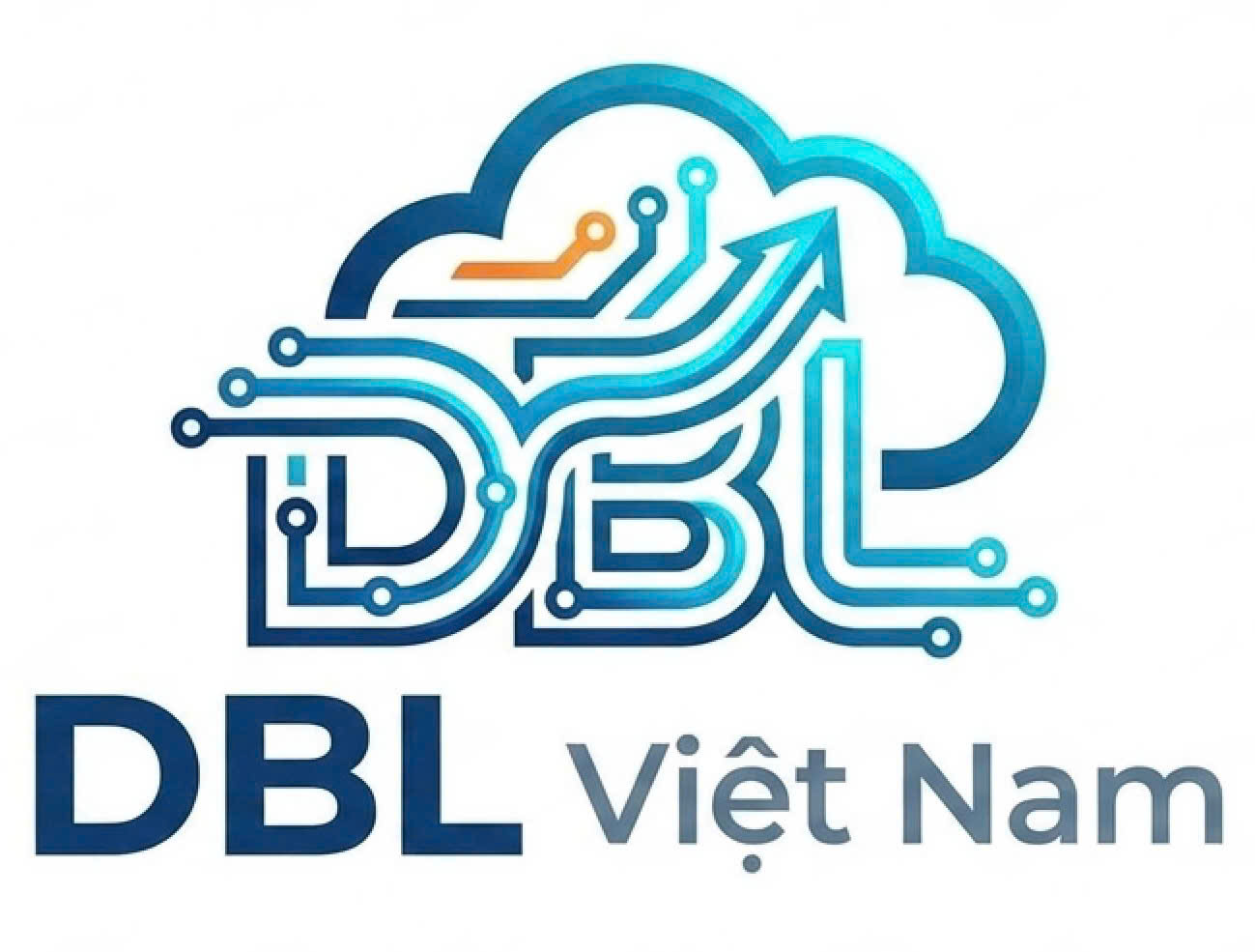 DBL Việt Nam Logo